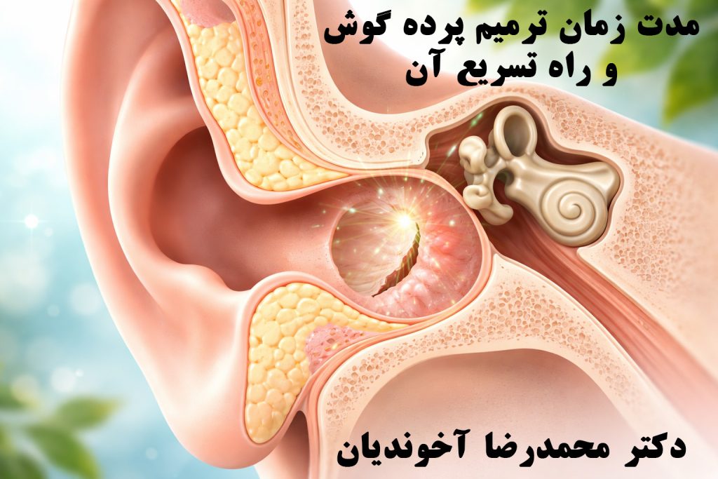 مدت زمان ترمیم پرده گوش  مدت زمان ترمیم پرده گوش | بررسی کامل عوامل مؤثر و راه‌های افزایش سرعت بهبودی - پرده گوش یکی از حساس‌ترین و در عین حال حیاتی‌ترین بخش‌های سیستم شنوایی انسان است. آسیب یا پارگی این پرده می‌تواند باعث کاهش شنوایی، درد، عفونت‌های مکرر و حتی سرگیجه شود. یکی از پرتکرارترین سوالات بیماران این است که مدت زمان ترمیم پرده گوش چقدر طول می‌کشد و چه کارهایی می‌توان انجام داد تا این روند سریع‌تر و کامل‌تر طی شود. در این مقاله به‌صورت جامع و علمی، به بررسی مدت ترمیم پرده گوش، عوامل تأثیرگذار بر آن و راهکارهای افزایش سرعت بهبودی می‌پردازیم. پرده گوش چیست و چرا ترمیم آن اهمیت دارد؟ پرده گوش (Tympanic Membrane) یک غشای نازک و نیمه‌شفاف است که گوش خارجی را از گوش میانی جدا می‌کند. این پرده نقش اساسی در انتقال امواج صوتی و محافظت از گوش میانی در برابر میکروب‌ها و آلودگی‌ها دارد. هرگونه آسیب به پرده گوش، حتی اگر کوچک باشد، می‌تواند: شنوایی را کاهش دهد خطر عفونت گوش میانی را افزایش دهد کیفیت زندگی فرد را مختل کند به همین دلیل دانستن مدت زمان ترمیم پرده گوش و رعایت مراقبت‌های لازم اهمیت زیادی دارد. مدت زمان ترمیم پرده گوش چقدر است؟ به‌طور کلی، مدت زمان ترمیم پرده گوش به عوامل مختلفی بستگی دارد، اما در بسیاری از موارد پارگی‌های خفیف بدون جراحی و به‌صورت خودبه‌خود ترمیم می‌شوند. زمان‌بندی تقریبی ترمیم: پارگی‌های کوچک: ۲ تا ۴ هفته پارگی‌های متوسط: ۴ تا ۸ هفته پارگی‌های بزرگ یا مزمن: ممکن است بیش از ۳ ماه طول بکشد یا نیاز به جراحی داشته باشد بنابراین نمی‌توان یک زمان دقیق و ثابت برای همه افراد تعیین کرد، اما دانستن محدوده تقریبی مدت زمان ترمیم پرده گوش به بیماران کمک می‌کند با آرامش بیشتری روند درمان را دنبال کنند. چه عواملی بر مدت زمان ترمیم پرده گوش تأثیر می‌گذارند؟ 1. اندازه و محل پارگی هرچه پارگی بزرگ‌تر باشد، مدت زمان ترمیم پرده گوش طولانی‌تر خواهد شد. پارگی‌هایی که در مرکز پرده ایجاد می‌شوند معمولاً بهتر از پارگی‌های حاشیه‌ای ترمیم می‌شوند. 2. علت پارگی پرده گوش دلایل مختلفی می‌توانند باعث پارگی پرده گوش شوند: عفونت شدید گوش ضربه مستقیم یا غیرمستقیم تغییرات ناگهانی فشار (پرواز، غواصی) فرو رفتن جسم خارجی در گوش پارگی‌های ناشی از عفونت معمولاً ترمیم کندتری دارند. بیشتر بخوانید: جراحی پرده گوش با لیزر در مشهد 3. سن بیمار در کودکان و جوانان، بازسازی بافتی سریع‌تر انجام می‌شود و معمولاً مدت زمان ترمیم پرده گوش کوتاه‌تر است. 4. وجود عفونت فعال اگر همزمان با پارگی، عفونت گوش وجود داشته باشد، روند ترمیم به‌طور قابل توجهی کند می‌شود. 5. رعایت مراقبت‌های پزشکی بیمارانی که توصیه‌های پزشک را جدی می‌گیرند، معمولاً ترمیم سریع‌تر و کامل‌تری را تجربه می‌کنند. آیا پرده گوش همیشه خودبه‌خود ترمیم می‌شود؟ در بسیاری از موارد بله، اما نه همیشه. اگر پس از ۶ تا ۸ هفته هیچ نشانه‌ای از ترمیم دیده نشود، ممکن است: پارگی مزمن شده باشد نیاز به مداخله پزشکی یا جراحی وجود داشته باشد در این شرایط، پزشک متخصص گوش و حلق و بینی درباره روش‌های درمانی تصمیم‌گیری می‌کند. نقش معاینه تخصصی در تعیین مدت زمان ترمیم پرده گوش تنها راه تشخیص دقیق وضعیت پرده گوش، معاینه با اتوسکوپ یا میکروسکوپ گوش است. پزشک با بررسی: اندازه پارگی وضعیت گوش میانی وجود ترشح یا عفونت می‌تواند تخمین واقع‌بینانه‌ای از مدت زمان ترمیم پرده گوش ارائه دهد. راهکارهای افزایش سرعت ترمیم پرده گوش اگرچه بدن توانایی ترمیم طبیعی دارد، اما با رعایت برخی نکات می‌توان روند بهبودی را تسریع کرد. 1. خشک نگه داشتن گوش مهم‌ترین اصل در کاهش مدت زمان ترمیم پرده گوش جلوگیری از ورود آب به گوش است. هنگام حمام از پنبه چرب یا محافظ گوش استفاده کنید شنا و استخر را تا بهبودی کامل کنار بگذارید 2. عدم دستکاری گوش استفاده از گوش‌پاک‌کن، دست یا هر وسیله دیگر می‌تواند ترمیم را مختل کند و حتی پارگی را بزرگ‌تر کند. 3. درمان کامل عفونت گوش در صورت وجود عفونت: داروهای تجویز شده را کامل مصرف کنید از قطع خودسرانه آنتی‌بیوتیک‌ها بپرهیزید درمان صحیح عفونت تأثیر مستقیمی بر کاهش مدت زمان ترمیم پرده گوش دارد. 4. پرهیز از فین کردن شدید فین کردن با فشار زیاد باعث انتقال فشار به گوش میانی شده و می‌تواند روند ترمیم را مختل کند. 5. تغذیه مناسب مصرف مواد غذایی سرشار از: پروتئین ویتامین C روی (Zinc) به بازسازی سریع‌تر بافت پرده گوش کمک می‌کند. 6. استراحت و کاهش استرس سیستم ایمنی قوی‌تر مساوی است با ترمیم سریع‌تر. خواب کافی و کاهش استرس نقش مهمی در کوتاه شدن مدت زمان ترمیم پرده گوش دارند. چه زمانی جراحی لازم می‌شود؟ اگر پس از گذشت چند ماه، پرده گوش ترمیم نشود، پزشک ممکن است جراحی ترمیم پرده گوش (تمپانوپلاستی یا میرنگوپلاستی) را پیشنهاد دهد. در این موارد، دیگر نمی‌توان صرفاً به ترمیم خودبه‌خود امید داشت و مدت زمان ترمیم پرده گوش وابسته به روش جراحی و شرایط بیمار خواهد بود. آیا کاهش شنوایی بعد از ترمیم طبیعی است؟ در اغلب موارد، پس از ترمیم کامل پرده گوش: شنوایی به حالت طبیعی بازمی‌گردد احساس گرفتگی یا وزوز به‌تدریج برطرف می‌شود اگر کاهش شنوایی ادامه‌دار باشد، بررسی‌های تکمیلی ضروری است. جمع‌بندی نهایی مدت زمان ترمیم پرده گوش موضوعی است که به عوامل متعددی مانند اندازه پارگی، علت آسیب، وجود عفونت و رعایت مراقبت‌های پزشکی بستگی دارد. در بسیاری از موارد، پرده گوش طی چند هفته به‌صورت خودبه‌خود ترمیم می‌شود، اما بی‌توجهی به مراقبت‌ها می‌تواند این روند را طولانی یا حتی نیازمند جراحی کند. با رعایت اصول ساده‌ای مثل خشک نگه داشتن گوش، درمان کامل عفونت‌ها و مراجعه به‌موقع به پزشک متخصص، می‌توان هم مدت زمان ترمیم پرده گوش را کاهش داد و هم از عوارض احتمالی جلوگیری کرد. لیفت گونه و ابرو در مشهد با بهترین قیمت ها