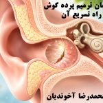 مدت زمان ترمیم پرده گوش  مدت زمان ترمیم پرده گوش | بررسی کامل عوامل مؤثر و راه‌های افزایش سرعت بهبودی - پرده گوش یکی از حساس‌ترین و در عین حال حیاتی‌ترین بخش‌های سیستم شنوایی انسان است. آسیب یا پارگی این پرده می‌تواند باعث کاهش شنوایی، درد، عفونت‌های مکرر و حتی سرگیجه شود. یکی از پرتکرارترین سوالات بیماران این است که مدت زمان ترمیم پرده گوش چقدر طول می‌کشد و چه کارهایی می‌توان انجام داد تا این روند سریع‌تر و کامل‌تر طی شود. در این مقاله به‌صورت جامع و علمی، به بررسی مدت ترمیم پرده گوش، عوامل تأثیرگذار بر آن و راهکارهای افزایش سرعت بهبودی می‌پردازیم. پرده گوش چیست و چرا ترمیم آن اهمیت دارد؟ پرده گوش (Tympanic Membrane) یک غشای نازک و نیمه‌شفاف است که گوش خارجی را از گوش میانی جدا می‌کند. این پرده نقش اساسی در انتقال امواج صوتی و محافظت از گوش میانی در برابر میکروب‌ها و آلودگی‌ها دارد. هرگونه آسیب به پرده گوش، حتی اگر کوچک باشد، می‌تواند: شنوایی را کاهش دهد خطر عفونت گوش میانی را افزایش دهد کیفیت زندگی فرد را مختل کند به همین دلیل دانستن مدت زمان ترمیم پرده گوش و رعایت مراقبت‌های لازم اهمیت زیادی دارد. مدت زمان ترمیم پرده گوش چقدر است؟ به‌طور کلی، مدت زمان ترمیم پرده گوش به عوامل مختلفی بستگی دارد، اما در بسیاری از موارد پارگی‌های خفیف بدون جراحی و به‌صورت خودبه‌خود ترمیم می‌شوند. زمان‌بندی تقریبی ترمیم: پارگی‌های کوچک: ۲ تا ۴ هفته پارگی‌های متوسط: ۴ تا ۸ هفته پارگی‌های بزرگ یا مزمن: ممکن است بیش از ۳ ماه طول بکشد یا نیاز به جراحی داشته باشد بنابراین نمی‌توان یک زمان دقیق و ثابت برای همه افراد تعیین کرد، اما دانستن محدوده تقریبی مدت زمان ترمیم پرده گوش به بیماران کمک می‌کند با آرامش بیشتری روند درمان را دنبال کنند. چه عواملی بر مدت زمان ترمیم پرده گوش تأثیر می‌گذارند؟ 1. اندازه و محل پارگی هرچه پارگی بزرگ‌تر باشد، مدت زمان ترمیم پرده گوش طولانی‌تر خواهد شد. پارگی‌هایی که در مرکز پرده ایجاد می‌شوند معمولاً بهتر از پارگی‌های حاشیه‌ای ترمیم می‌شوند. 2. علت پارگی پرده گوش دلایل مختلفی می‌توانند باعث پارگی پرده گوش شوند: عفونت شدید گوش ضربه مستقیم یا غیرمستقیم تغییرات ناگهانی فشار (پرواز، غواصی) فرو رفتن جسم خارجی در گوش پارگی‌های ناشی از عفونت معمولاً ترمیم کندتری دارند. بیشتر بخوانید: جراحی پرده گوش با لیزر در مشهد 3. سن بیمار در کودکان و جوانان، بازسازی بافتی سریع‌تر انجام می‌شود و معمولاً مدت زمان ترمیم پرده گوش کوتاه‌تر است. 4. وجود عفونت فعال اگر همزمان با پارگی، عفونت گوش وجود داشته باشد، روند ترمیم به‌طور قابل توجهی کند می‌شود. 5. رعایت مراقبت‌های پزشکی بیمارانی که توصیه‌های پزشک را جدی می‌گیرند، معمولاً ترمیم سریع‌تر و کامل‌تری را تجربه می‌کنند. آیا پرده گوش همیشه خودبه‌خود ترمیم می‌شود؟ در بسیاری از موارد بله، اما نه همیشه. اگر پس از ۶ تا ۸ هفته هیچ نشانه‌ای از ترمیم دیده نشود، ممکن است: پارگی مزمن شده باشد نیاز به مداخله پزشکی یا جراحی وجود داشته باشد در این شرایط، پزشک متخصص گوش و حلق و بینی درباره روش‌های درمانی تصمیم‌گیری می‌کند. نقش معاینه تخصصی در تعیین مدت زمان ترمیم پرده گوش تنها راه تشخیص دقیق وضعیت پرده گوش، معاینه با اتوسکوپ یا میکروسکوپ گوش است. پزشک با بررسی: اندازه پارگی وضعیت گوش میانی وجود ترشح یا عفونت می‌تواند تخمین واقع‌بینانه‌ای از مدت زمان ترمیم پرده گوش ارائه دهد. راهکارهای افزایش سرعت ترمیم پرده گوش اگرچه بدن توانایی ترمیم طبیعی دارد، اما با رعایت برخی نکات می‌توان روند بهبودی را تسریع کرد. 1. خشک نگه داشتن گوش مهم‌ترین اصل در کاهش مدت زمان ترمیم پرده گوش جلوگیری از ورود آب به گوش است. هنگام حمام از پنبه چرب یا محافظ گوش استفاده کنید شنا و استخر را تا بهبودی کامل کنار بگذارید 2. عدم دستکاری گوش استفاده از گوش‌پاک‌کن، دست یا هر وسیله دیگر می‌تواند ترمیم را مختل کند و حتی پارگی را بزرگ‌تر کند. 3. درمان کامل عفونت گوش در صورت وجود عفونت: داروهای تجویز شده را کامل مصرف کنید از قطع خودسرانه آنتی‌بیوتیک‌ها بپرهیزید درمان صحیح عفونت تأثیر مستقیمی بر کاهش مدت زمان ترمیم پرده گوش دارد. 4. پرهیز از فین کردن شدید فین کردن با فشار زیاد باعث انتقال فشار به گوش میانی شده و می‌تواند روند ترمیم را مختل کند. 5. تغذیه مناسب مصرف مواد غذایی سرشار از: پروتئین ویتامین C روی (Zinc) به بازسازی سریع‌تر بافت پرده گوش کمک می‌کند. 6. استراحت و کاهش استرس سیستم ایمنی قوی‌تر مساوی است با ترمیم سریع‌تر. خواب کافی و کاهش استرس نقش مهمی در کوتاه شدن مدت زمان ترمیم پرده گوش دارند. چه زمانی جراحی لازم می‌شود؟ اگر پس از گذشت چند ماه، پرده گوش ترمیم نشود، پزشک ممکن است جراحی ترمیم پرده گوش (تمپانوپلاستی یا میرنگوپلاستی) را پیشنهاد دهد. در این موارد، دیگر نمی‌توان صرفاً به ترمیم خودبه‌خود امید داشت و مدت زمان ترمیم پرده گوش وابسته به روش جراحی و شرایط بیمار خواهد بود. آیا کاهش شنوایی بعد از ترمیم طبیعی است؟ در اغلب موارد، پس از ترمیم کامل پرده گوش: شنوایی به حالت طبیعی بازمی‌گردد احساس گرفتگی یا وزوز به‌تدریج برطرف می‌شود اگر کاهش شنوایی ادامه‌دار باشد، بررسی‌های تکمیلی ضروری است. جمع‌بندی نهایی مدت زمان ترمیم پرده گوش موضوعی است که به عوامل متعددی مانند اندازه پارگی، علت آسیب، وجود عفونت و رعایت مراقبت‌های پزشکی بستگی دارد. در بسیاری از موارد، پرده گوش طی چند هفته به‌صورت خودبه‌خود ترمیم می‌شود، اما بی‌توجهی به مراقبت‌ها می‌تواند این روند را طولانی یا حتی نیازمند جراحی کند. با رعایت اصول ساده‌ای مثل خشک نگه داشتن گوش، درمان کامل عفونت‌ها و مراجعه به‌موقع به پزشک متخصص، می‌توان هم مدت زمان ترمیم پرده گوش را کاهش داد و هم از عوارض احتمالی جلوگیری کرد. لیفت گونه و ابرو در مشهد با بهترین قیمت ها