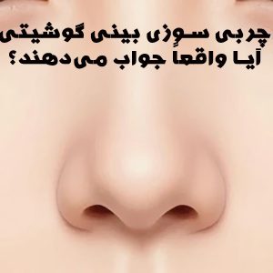 تمرینات چربی سوزی بینی گوشیتی